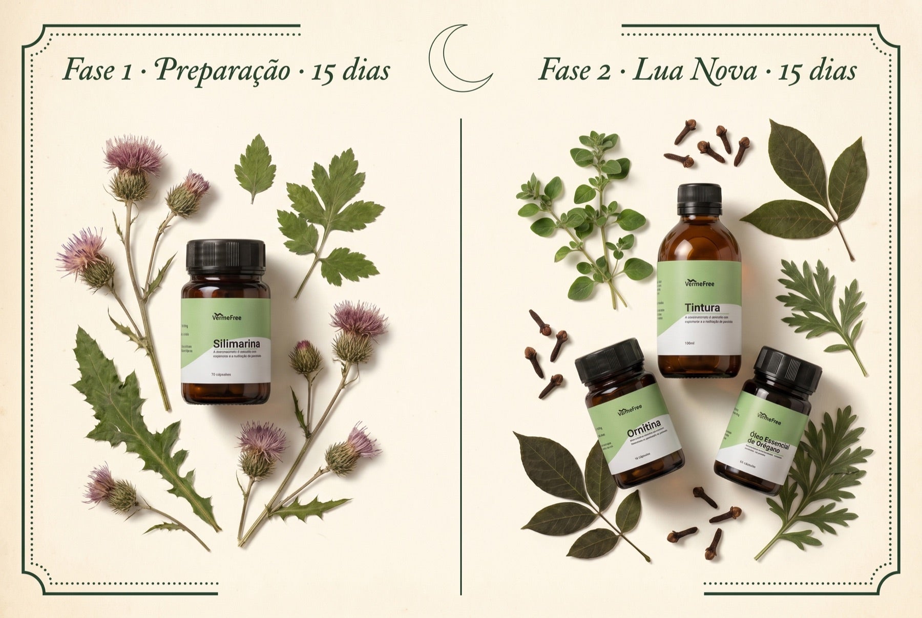 Ciclo de 30 dias do protocolo VermeFree